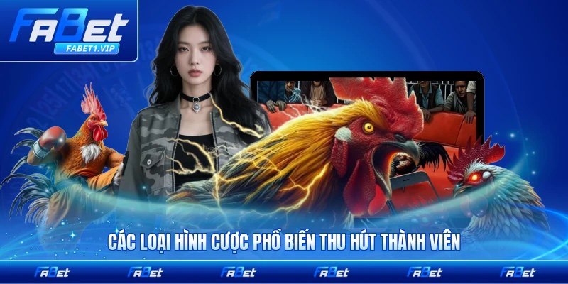 Các loại hình cược phổ biến thu hút thành viên FABET hiện nay đầy đủ nhất