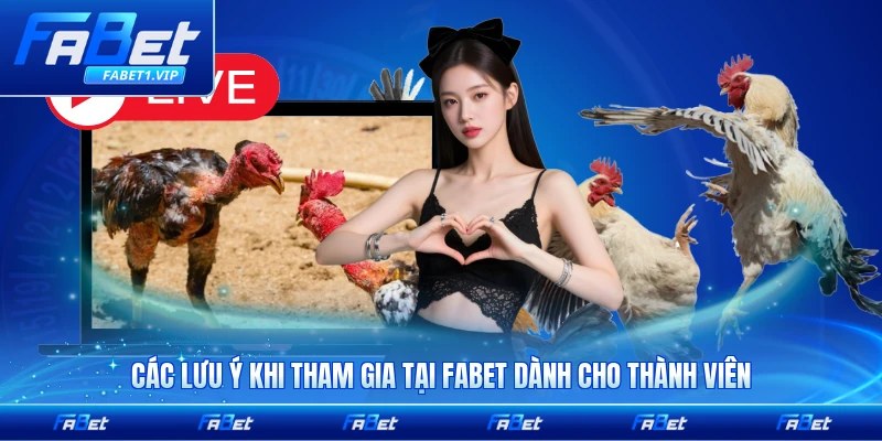 Các lưu ý khi tham gia tại FABET dành cho thành viên mới nhất
