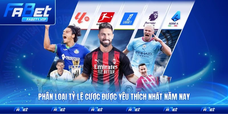 Phân loại tỷ lệ cược được yêu thích nhất năm nay hiện nay